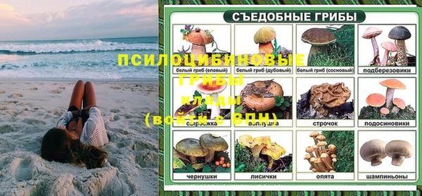 дурь Аркадак