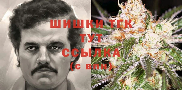 mdpv Белокуриха