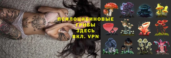 spice Нягань