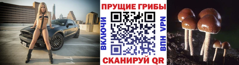 Псилоцибиновые грибы ЛСД  как найти закладки  Серафимович 